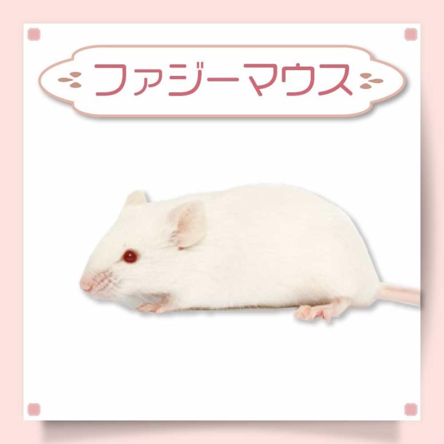 送料無料 冷凍マウスファジー50匹 冷凍 マウス ファジーマウスL 餌 エサ フクロウ 50匹 猛禽類 爬虫類