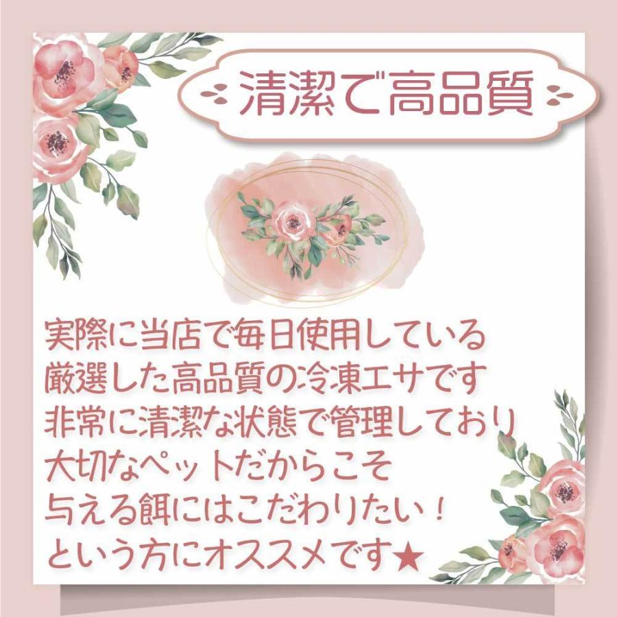送料無料　冷凍マウスファジー100匹 冷凍 マウス ファジーマウスL 餌 エサ フクロウ 100匹 猛禽類 爬虫類
