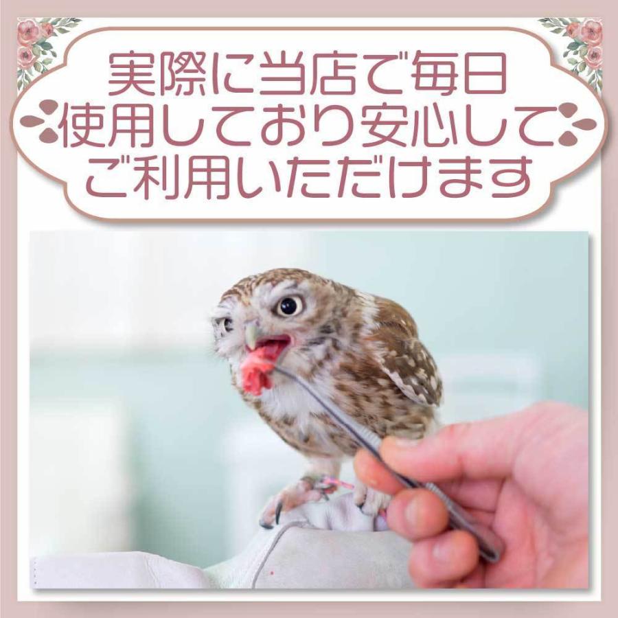 冷凍 マウス 餌 エサ 100匹 アダルトマウスM フクロウ 猛禽類 爬虫類