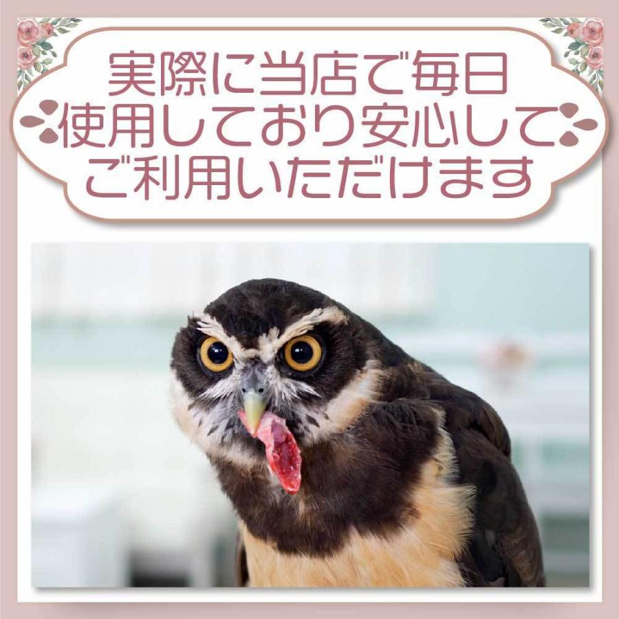 冷凍 マウス 餌 エサ 100匹 アダルトマウスM フクロウ 猛禽類 爬虫類