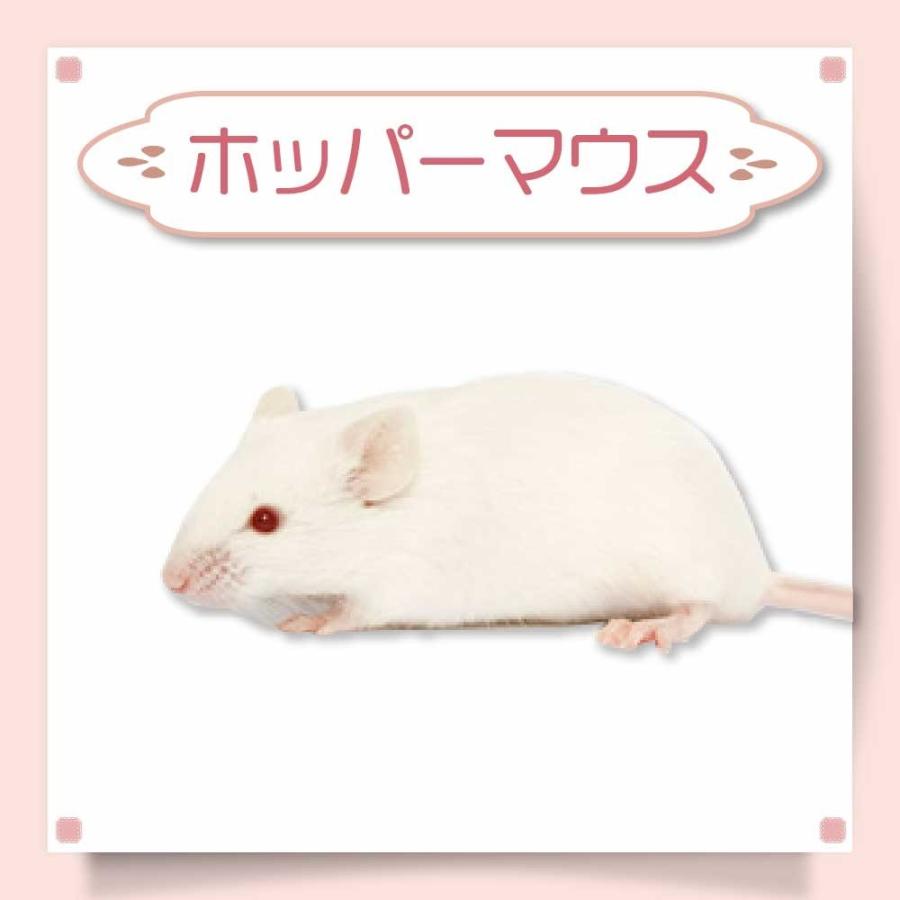 冷凍 マウス ホッパーマウス 餌 エサ フクロウ 300匹 猛禽類 爬虫類