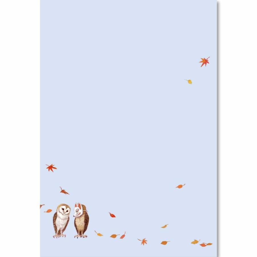 coen ポストカード おしゃれ フクロウ グッズ はがき 修学旅行で