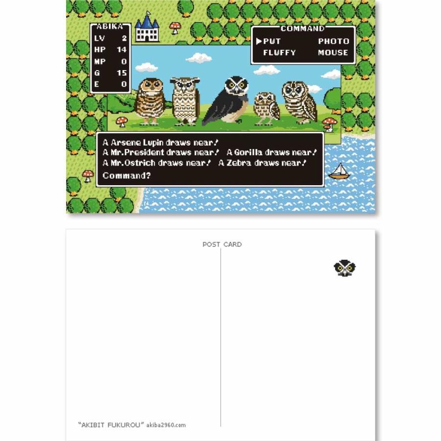 ポストカード セット 3枚 フクロウ グッズ WEB限定 お得