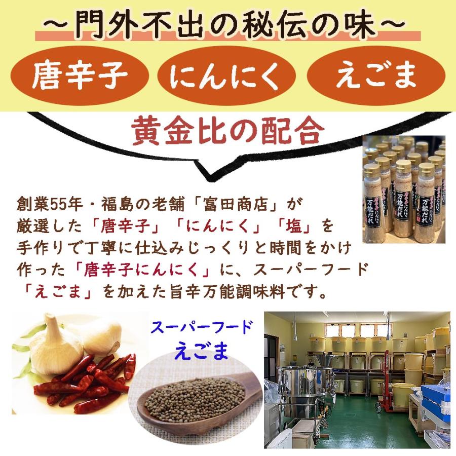 富田商店 唐辛子にんにく 万能だれ 200ml×2本セット えごま入り たれ タレ 国内製造 調味料 福島名産 手作り 美味い マヨネーズ ドレッシング ギフト |  | 03