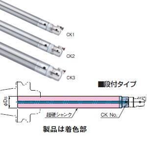 BIG DAISHOWA ST28W-CKB2-245 CKボーリングシステム ストレートシャンク 段付タイプ メーカー直送 代引不可 北海道 沖縄 離島不可