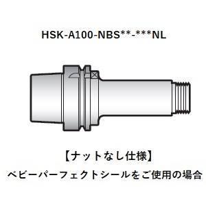 BIG DAISHOWA HSK-A100-NBS6-165NL ニューベビーチャック/ナットなし Aタイプ DIN 69893-1 メーカー直送 代引北海道沖縄離島不可