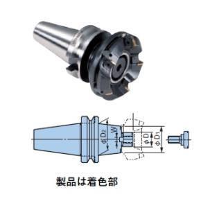 BIG DAISHOWA BBT30-FMA22.225-45 フェイスミルアーバA型 BBT30 メーカー直送 代引不可 北海道 沖縄 離島不可