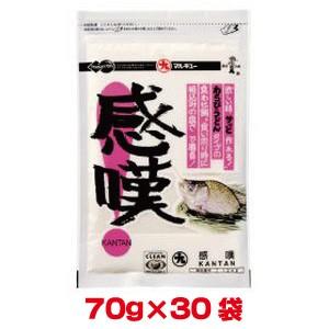 マルキュー - 嘆ずる かんたん 70g×30個 1容れもの ヘラブナ へら鮒 その他アウトドア用品-アウトドア、釣り、旅行用品