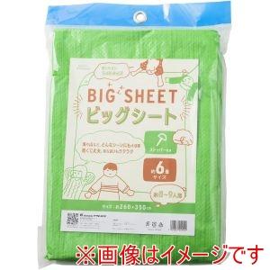 アサヒ興洋 ビックシート 6畳