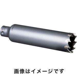 ミヤナガ PCHW110C 回転用 Hコア/ポリカッター 110×130