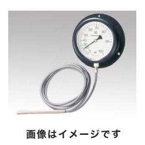 佐藤計量器 VB-100P 壁掛け式隔測温度計 0〜100℃