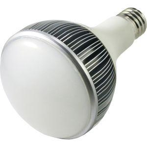 タイカツ TK-LED450N LED投光器 替ランプ 口金E39 50W 鯛勝産業