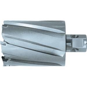 日東工器 16430 ジエットブローチ ワンタッチタイプ 30X50L 16430