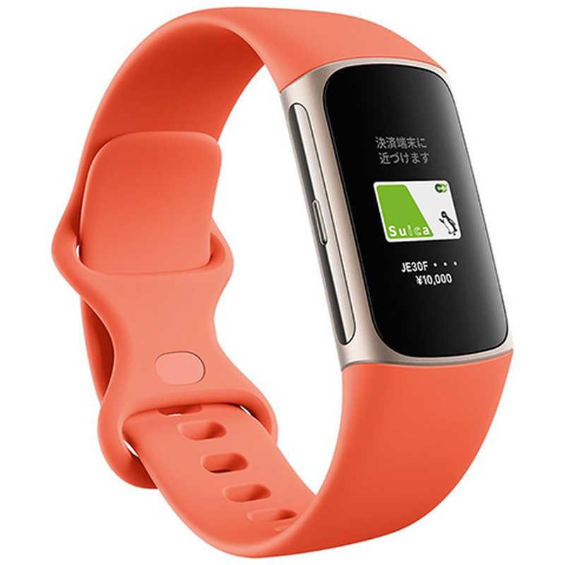 Fitbit Charge 6 GA05184-AP(コーラル/シャンパンゴールド