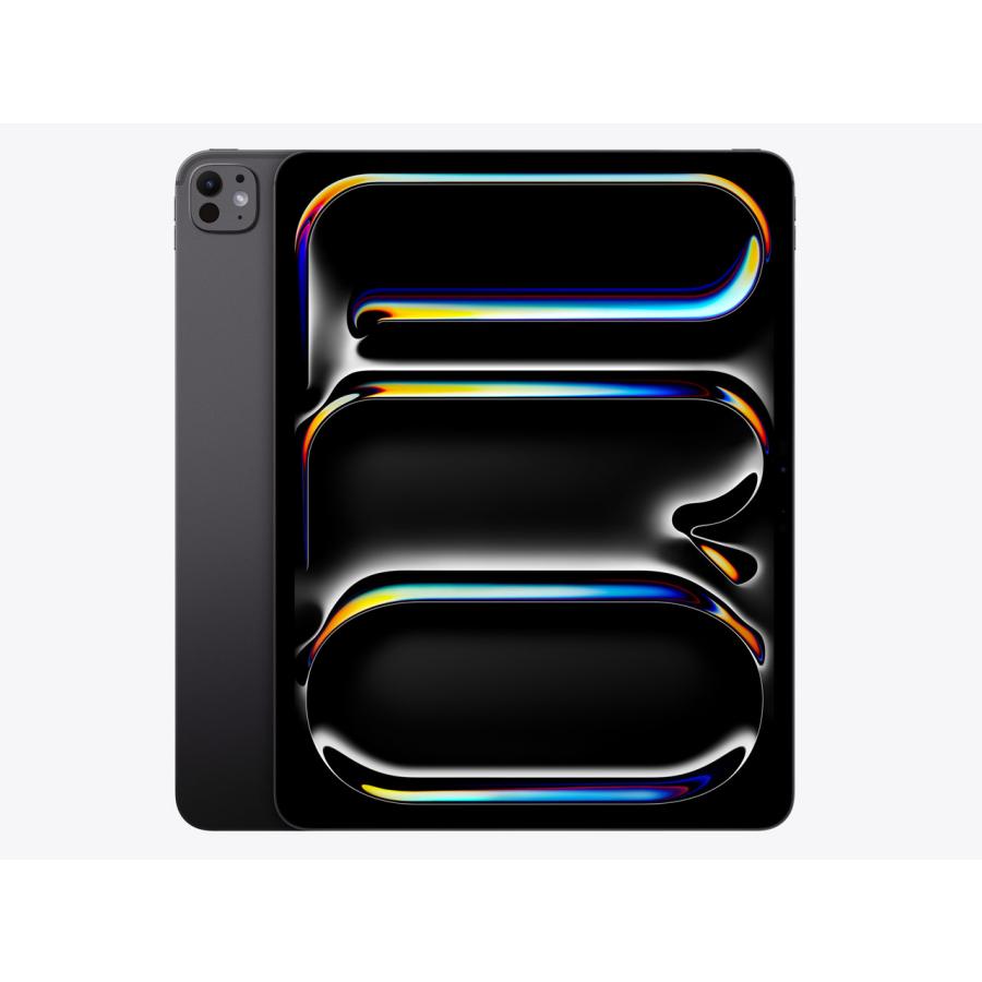 iPad Pro 11インチ Wi-Fi 1TB 2024年春モデル MVVE3J/A [スペースブラック]会員限定 買取価格比較
