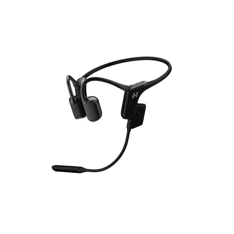 AVIOT AVIOT Openpiece Elite WB-E1M-BK (メタリックブラック