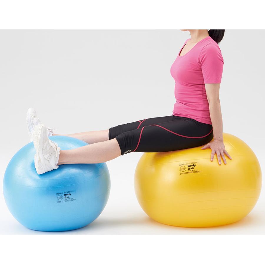 ダンノ ギムニクボディボール 95 DANNO D5919 : あきちゃん堂 - 通販