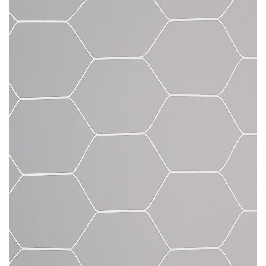 送料無料 エバニュー 亀甲タイプ Ekd842 一般サッカーゴールネット 亀甲タイプ ｓ１１６ Evernew Evernew Ekd842