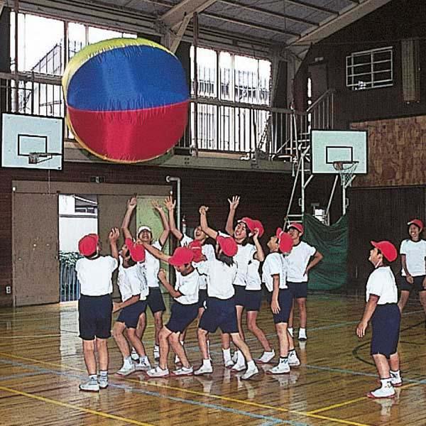 TOEI LIGHT（トーエイライト） 【送料無料】トーエイライト B6059 エア