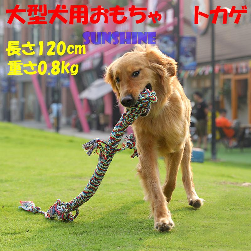 犬用 噛むおもちゃ ペット トカゲ おもちゃ 訓練 犬用おもちゃ 歯ぎ清潔 丈夫 犬玩具 ストレス解消 運動不足 Hyp022 Sunshine Akida 通販 Yahoo ショッピング