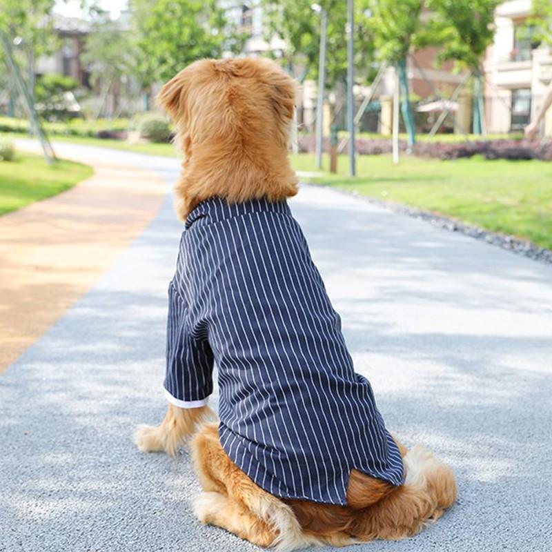 犬 犬の服 犬服 ドッグウェア スーツ フォーマル 七五三 発表会 結婚式 宴会 ストライプ柄 ジャケット 中型犬 大型犬 柴犬 ゴールデン 蝶ネクタイ Yomt303 Sunshine Akida 通販 Yahoo ショッピング