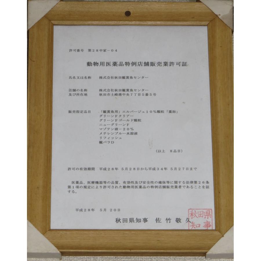 マゾテン液 50ml入り 5本 A G103 アキカン ヤフー店 通販 Yahoo ショッピング