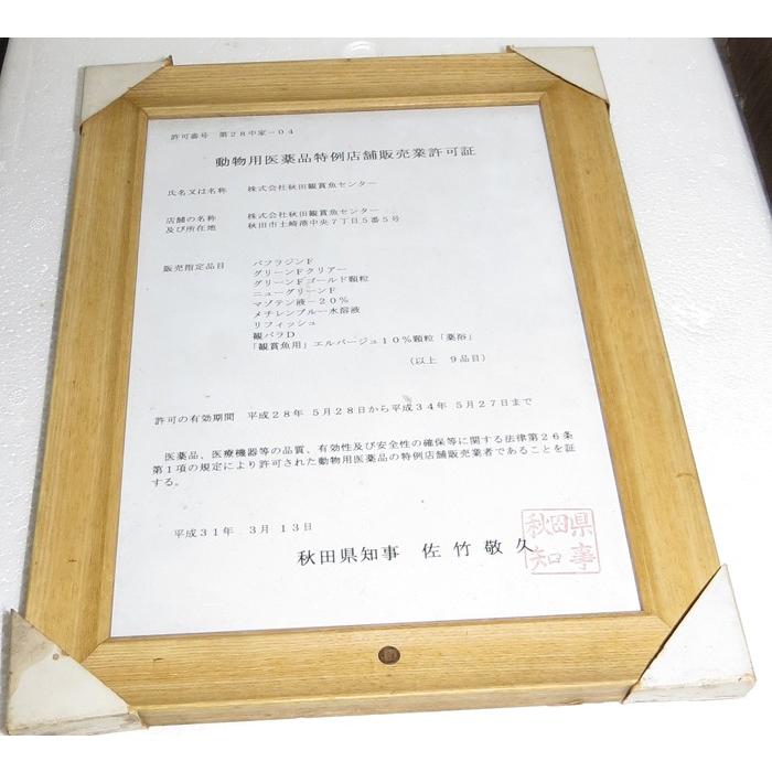 観賞魚用　パフラジンF　５０ｇ　1箱30袋入り C1555667055(13750円)