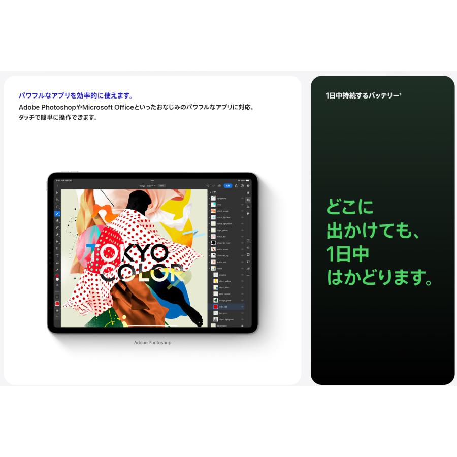 iPad Apple 第10世代(2022) Wi-Fi 64GB 10.9インチ シルバー [Silver