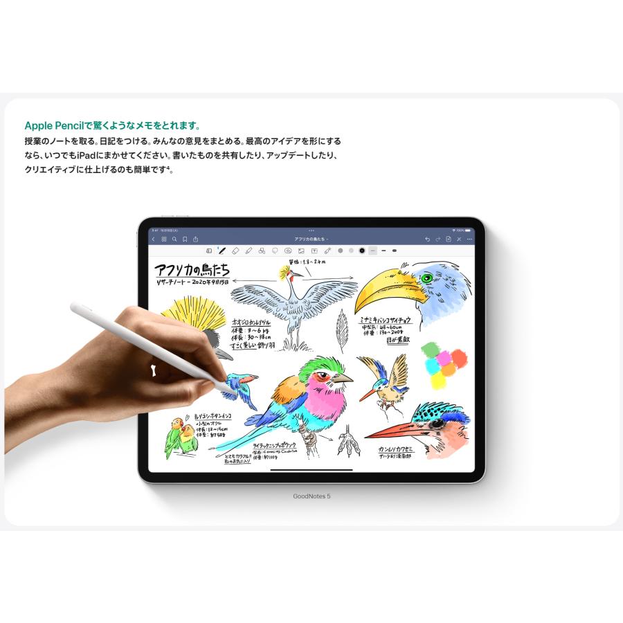 iPad Apple 第10世代(2022) Wi-Fi 64GB 10.9インチ シルバー [Silver