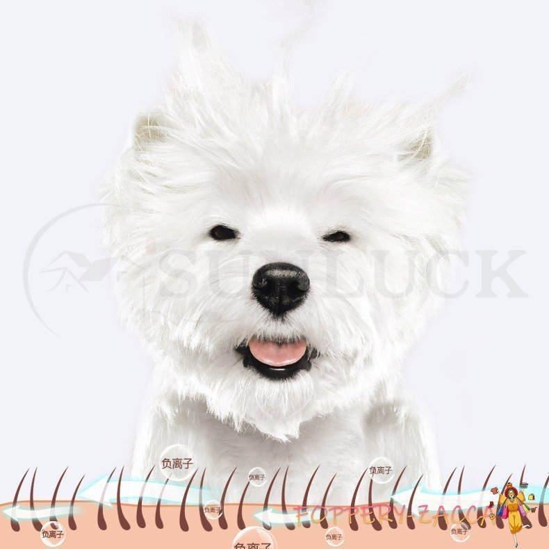 ペット乾燥箱 乾燥ハウス ドライルーム 全自動 ドライヤーを嫌がるうちの子のために 静かに乾かせる 犬 猫 完全密閉 0cm