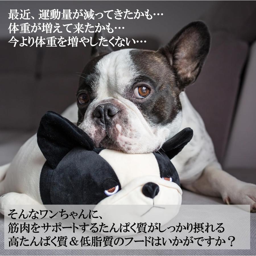 ウェルネスコア 小型犬 体重管理用 低脂肪 ターキー 骨抜き七面鳥 5.4