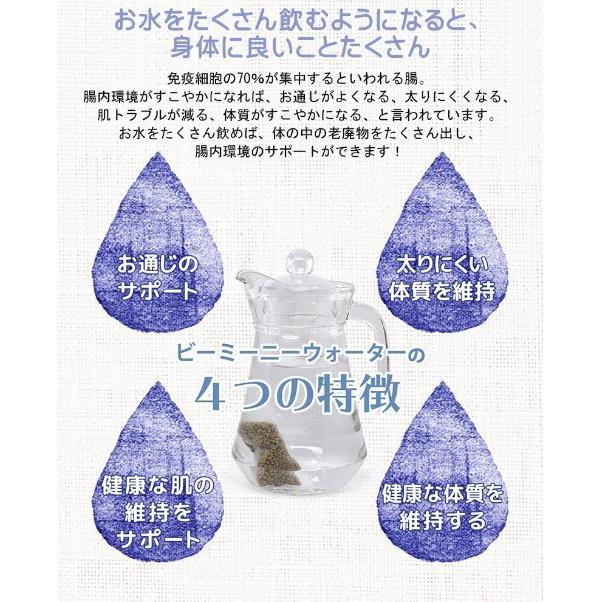 BeeMeeNee ビーミーニー 飲料水改質触媒 ビッグ 犬用 改水セラミック