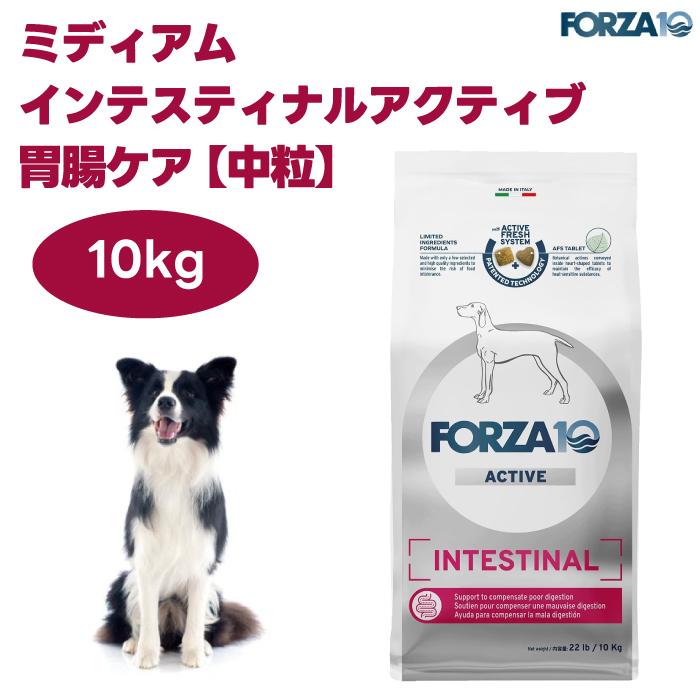FORZA10 インテスティナルアクティブ ミディアム 中粒 胃腸ケア 10kg