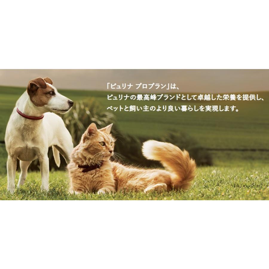 ネスレ ピュリナ プロプラン PURINA PROPLAN 尿路の健康 ネスレ ピュリナ プロプラン PURINA PROPLAN 尿路の健康