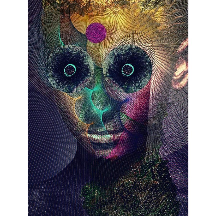 DIR EN GREY The Insulated World（完全生産限定盤／DVD付）」CD