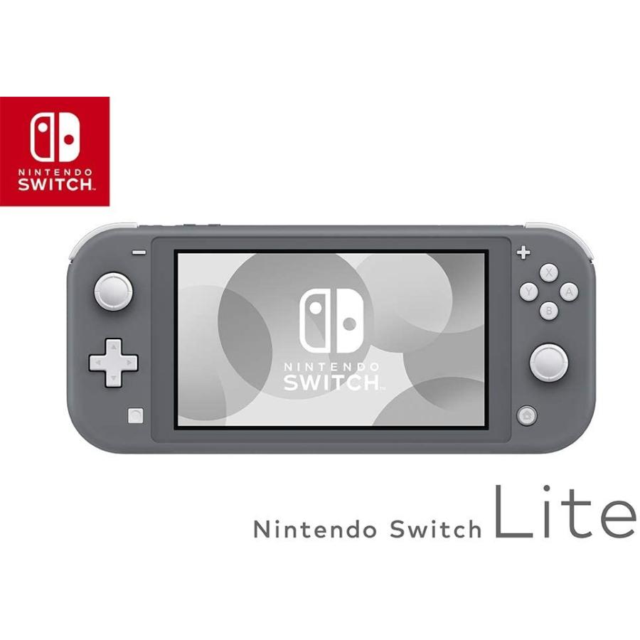 価格  グレー　本体とカバー付き最終お値下げ‼️ LITE Switch Nintendo 家庭用ゲーム本体