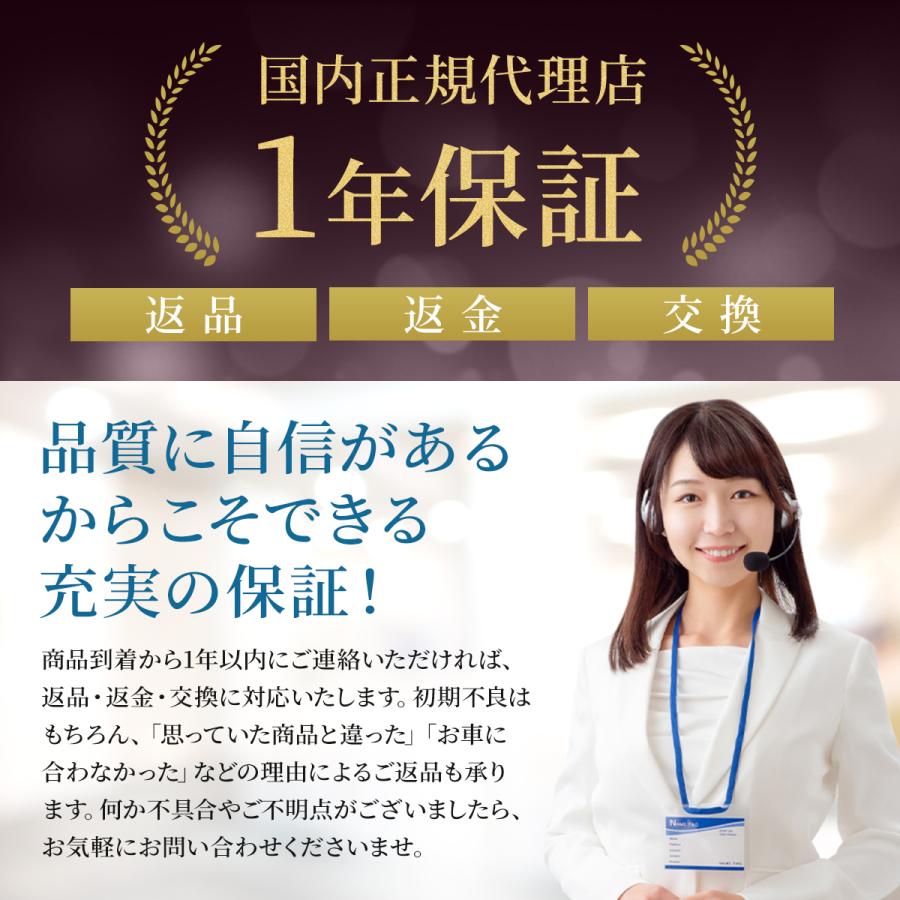 【販売実績No.1 正規代理店】OTTOCAST P3pro オットキャスト P3 Pro　フルセット |  | 11
