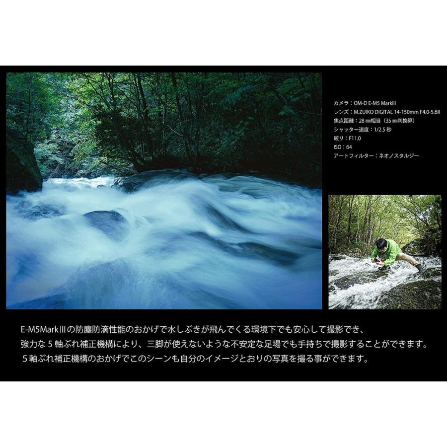 ミラーレス一眼カメラ ハードウエア ブラック コンピュータ Olympus Om D E M5 Markiii Markiii ボディー アキパラダイス