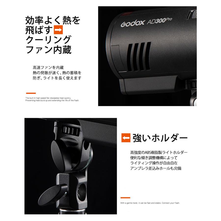 GODOX [日本公認代理店品] ゴドックス AD300Pro 300W 屋内外用