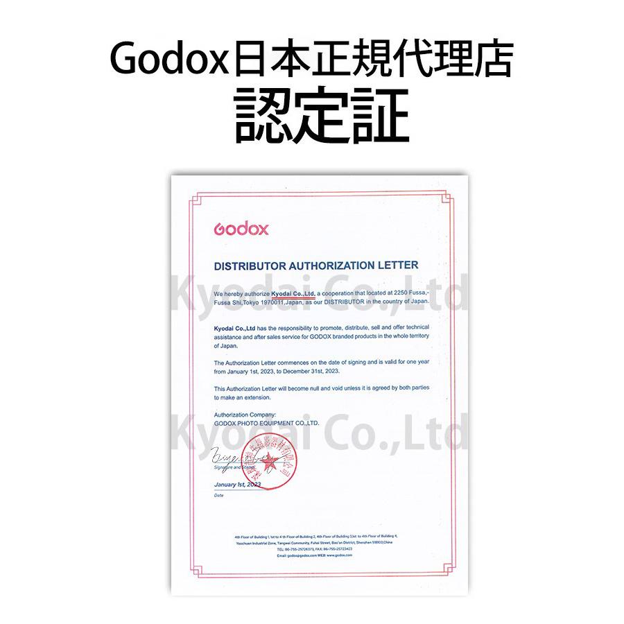 GODOX [日本公認代理店品] ゴドックス AD300Pro 300W バッテリー
