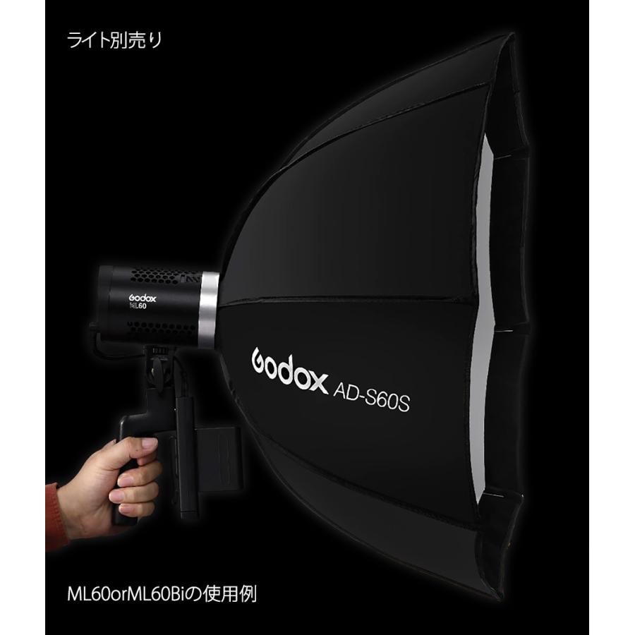 GODOX 【日本公認代理店品】 ゴドックス AD-S60S ADS60S
