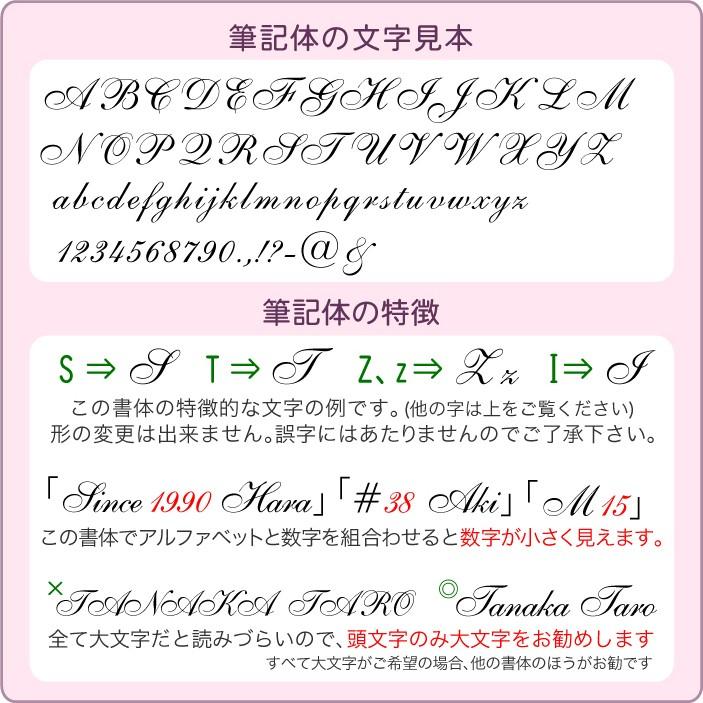 名入れ フリクション ボール 3 メタル 3色 ボールペン 0.5mm LKFB-150EF 名入無料 パイロット 普通郵便 送料無料 他商品との同梱不可 (郵)|akishimado|05