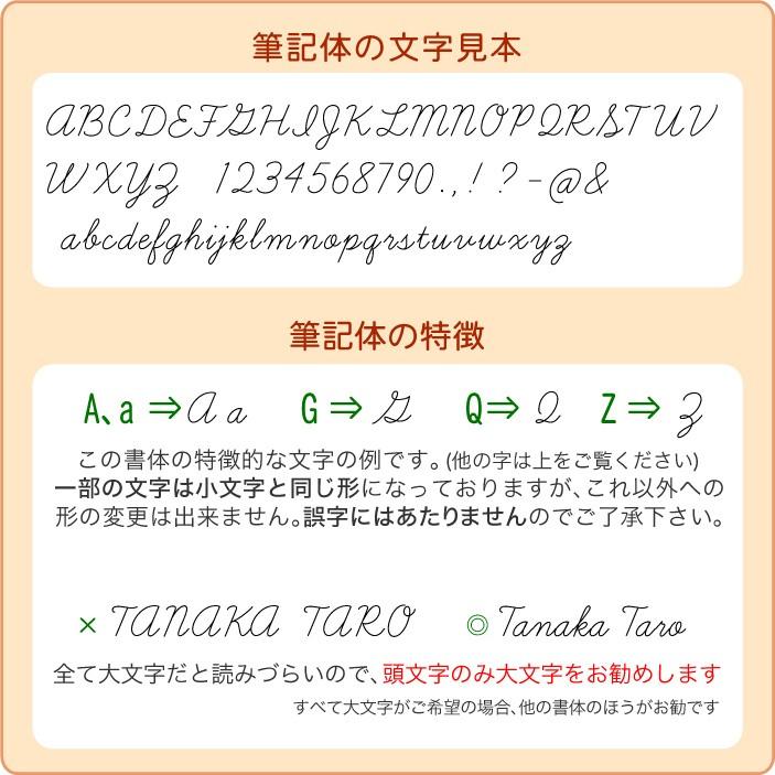 名入れ 無料 --金色いれ-- ジェットストリーム 4&1 5機能ペン MSXE5-1000-05 MSXE5-1000-07 ボールぺン 0.5 または 0.7 三菱鉛筆 送料別 _レ2m｜akishimado｜06