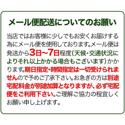 2本以上でお得 名入れ UV印刷 ドクターグリップ クラシック シャープぺン パイロット Dr.GRIP classic HDG-50R 0.5mm 文字色は黒のみ 送料別 (DG) UV専｜akishimado｜10