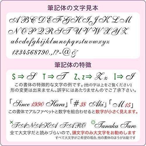 デルガード 名入れ シャーペン Type-Lx ゼブラ 0.3mm/0.5mm P デルガード 名入れ シャーペン Type-Lx ゼブラ 0.3mm/0.5mm P