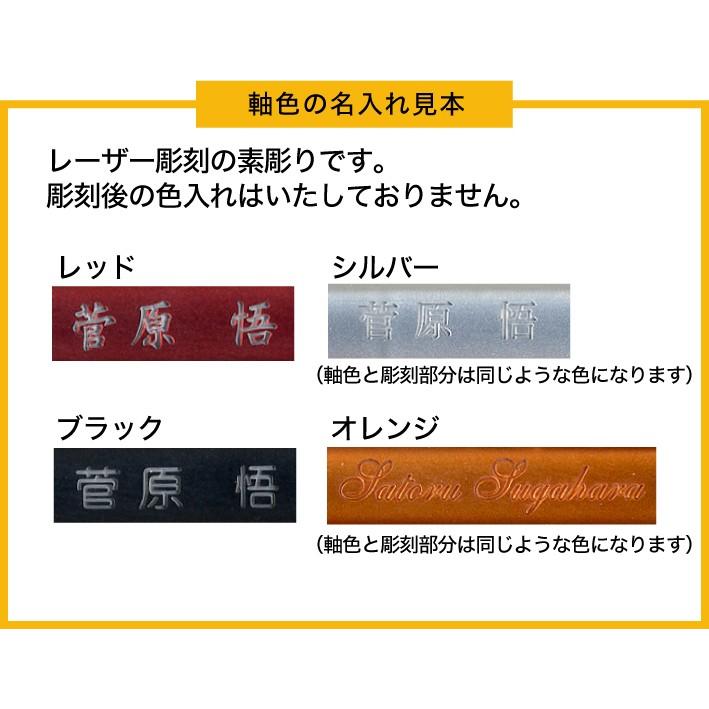 ZEBRA 名入れ シャープぺン テクトツゥーウェイ ゼブラ Tect2way MA41