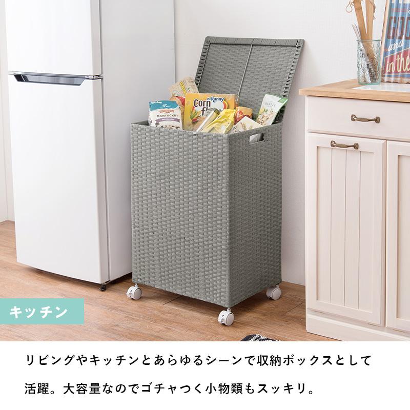 キャスター付収納ボックス RUD-2422 : あきし野 sleeping-shop - 通販