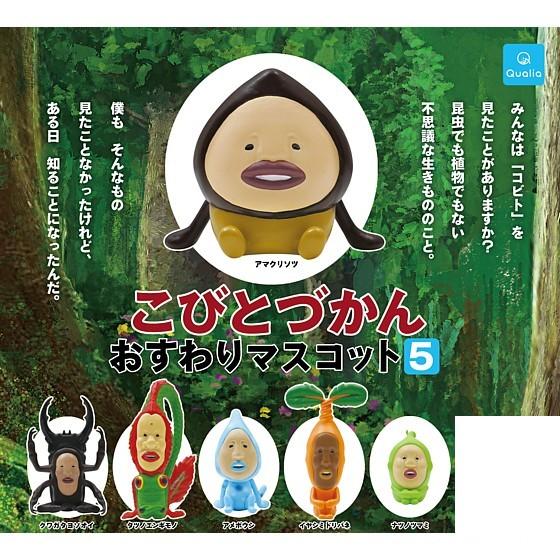 クオリア　QUALIA 6点セット Qualia（クオリア） ノーマル6種セット [こびとづかん おすわり