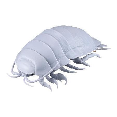 だいおうぐそくむし ガシャポン だんごむし05 だんごむしとだいおうぐそくむし バンダイ あきずむヤフー店 通販 Yahoo ショッピング