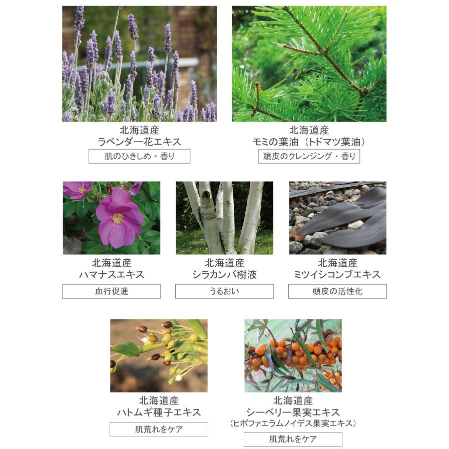 凜恋（rinRen） リンレン シャンプー 北海道ラベンダーとモミ 400mL